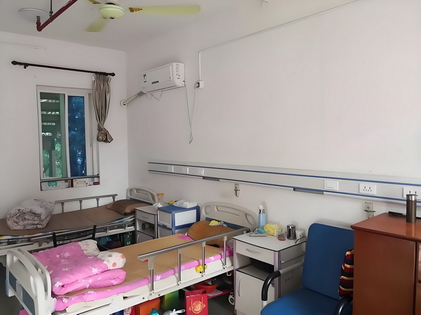 霸上特工女军师