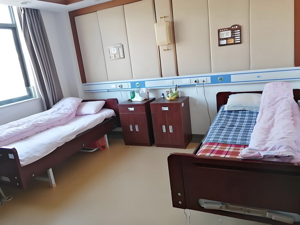 霸上特工女军师