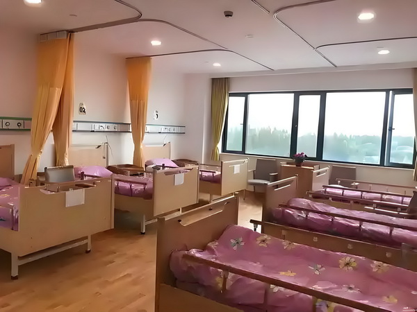 美丽心灵林