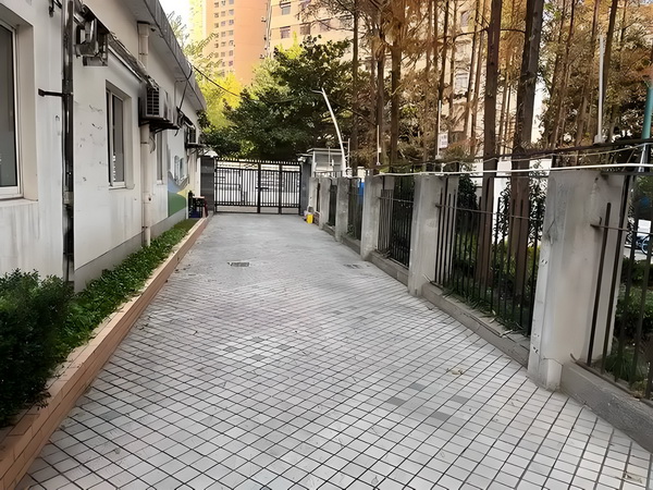 异世紫衣罗刹